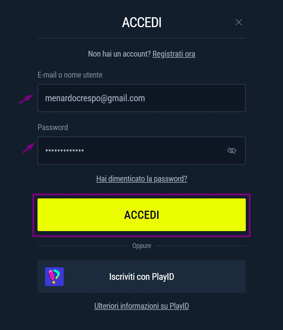 Rabona Casino Login Interface